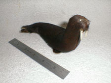 Small stuffed seal